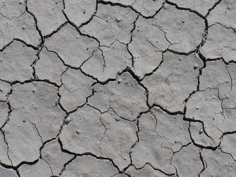 mudflat